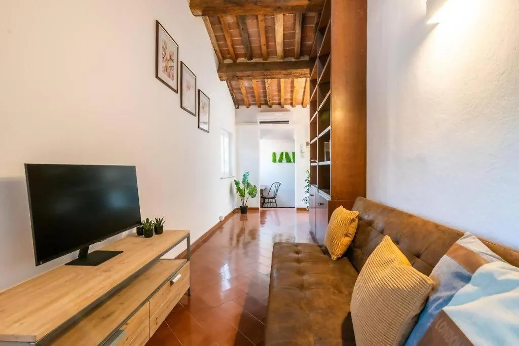 Lh - The Rose Apartment - Tower View Pisa